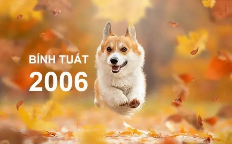 Chân dung thế hệ Gen Z tuổi Bính Tuất 2006 bản lĩnh trong thời đại số.