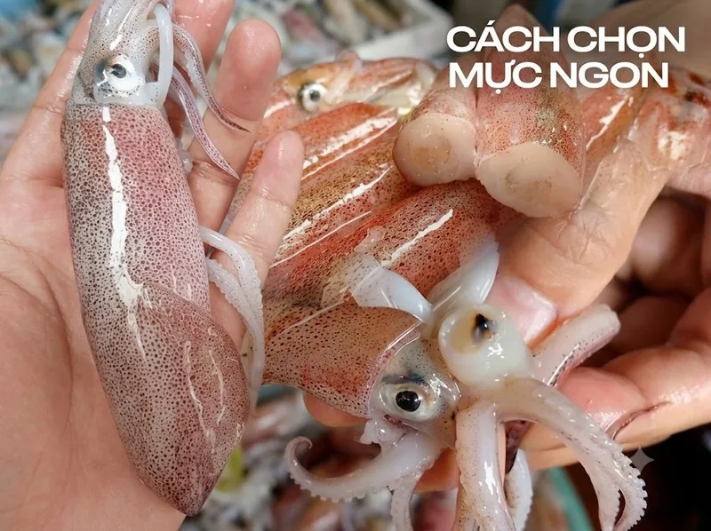 Chọn mực tươi là bước đầu để có món mực hấp giòn ngọt